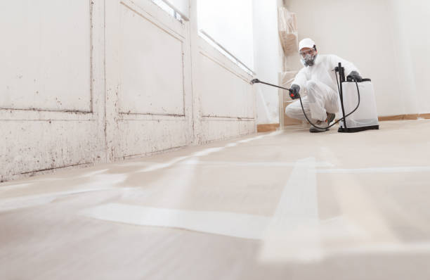 24/7 Emergency Commercial Mold Remediation experts in Henderson, TN